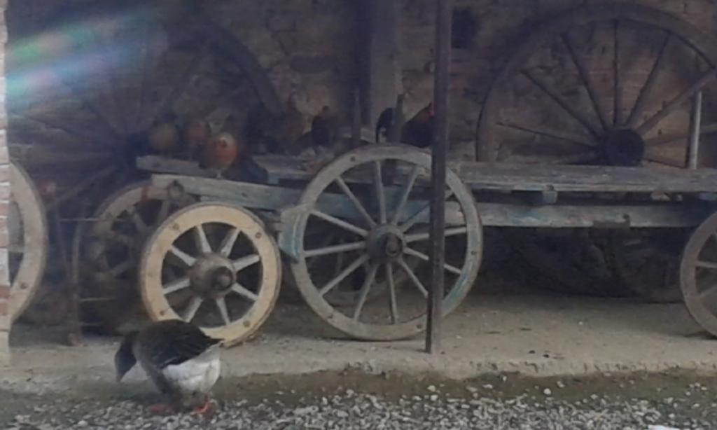 Francavilla Bisio Agriturismo Il Vecchio Portico מראה חיצוני תמונה