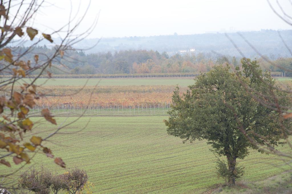 Francavilla Bisio Agriturismo Il Vecchio Portico מראה חיצוני תמונה
